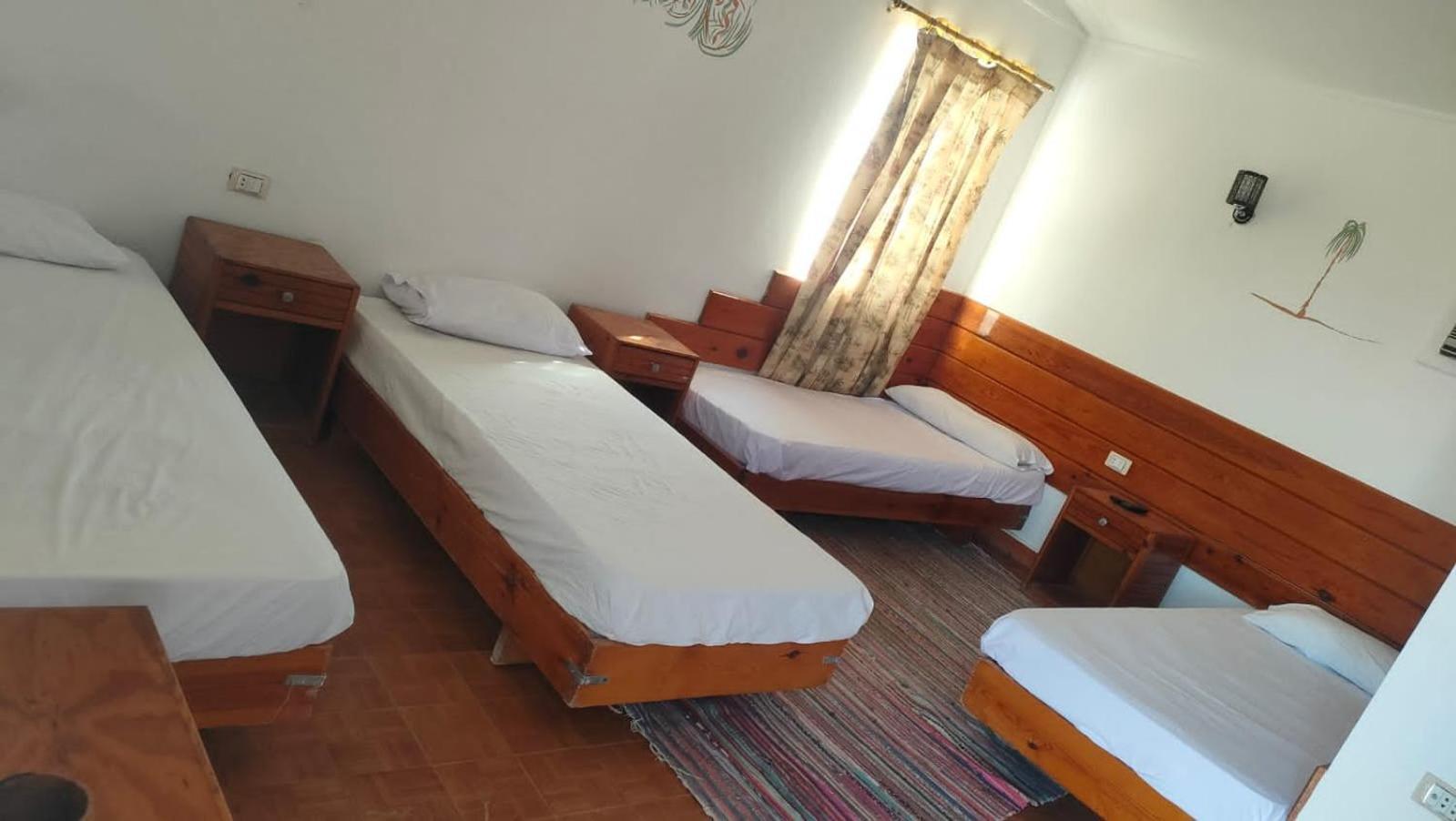 Nuweiba Oasis Hotel Room photo